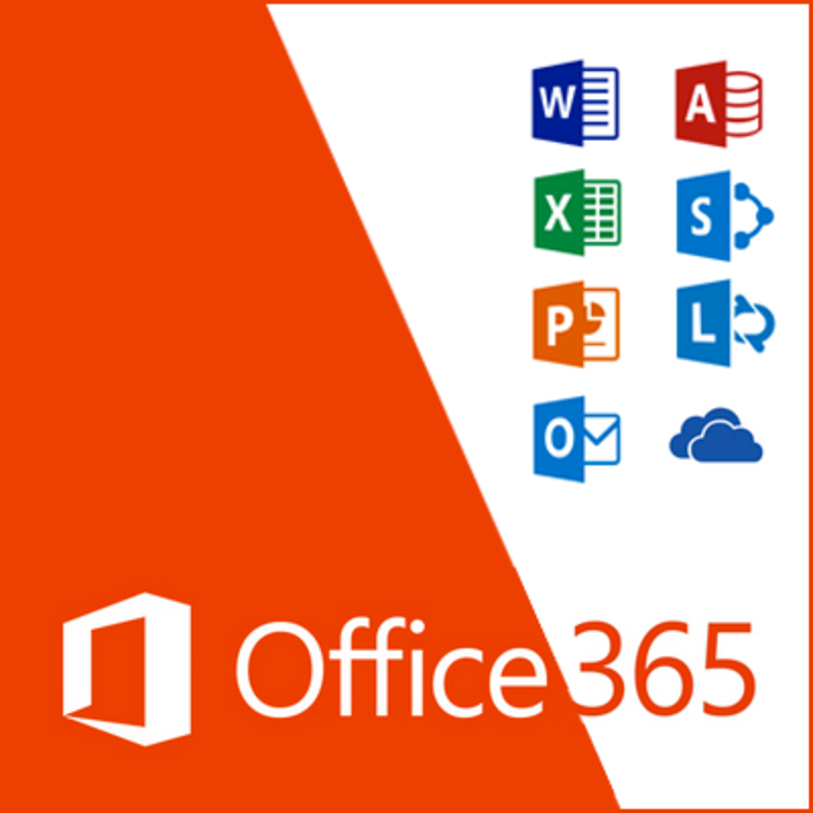 office3651